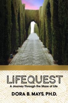 LifeQuest : A Journey Through the Maze of Life