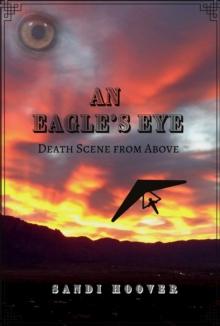 An Eagle's Eye