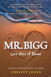 MR. BIGG : Love Has A Name