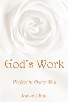 God's Work : Perfect in Every Way