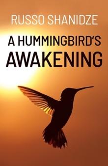 A Hummingbird's Awakening