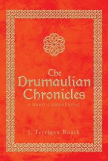 The Drumaulian Chronicles : A Hero's Awakening