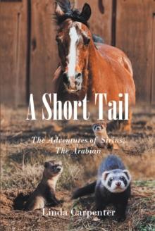 A Short Tail : The Adventures of Sirius, The Arabian