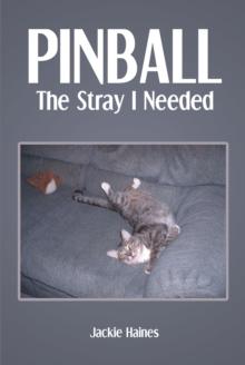 Pinball : The Stray I Needed