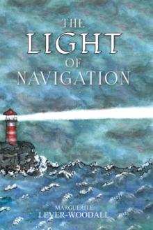 The Light of Navigation : Spiritual Direction in Tough Times