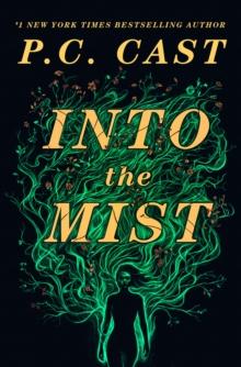 Into The Mist : A Novel