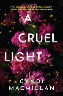 A Cruel Light : A Novel