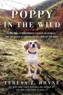 Poppy in the Wild : A Lost Dog, Fifteen Hundred Acres of Wilderness, and the Dogged Determination that Brought Her Home