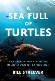 A Sea Full of Turtles : The Search for Optimism in an Epoch of Extinction