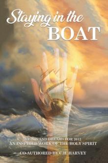 Staying in the Boat : Vision and Dreams For 2012 An Inspired Work of the Holy Spirit