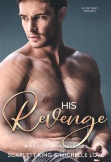 His Revenge : Secret Baby Romance