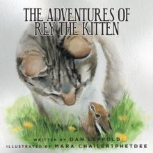 The Adventures of Rey the Kitten