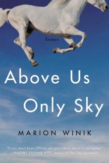 Above Us Only Sky : Essays