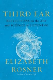 Third Ear : Reflections on the Art and Science of Listening