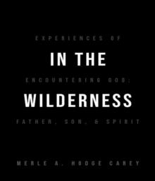 In the Wilderness: Experiences of Encountering God : Father, Son, and Spirit