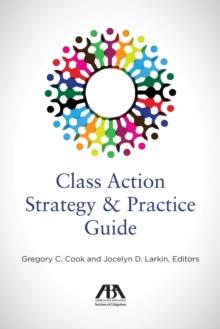 Class Action Strategy & Practice Guide