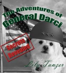 The Adventures of General Darci : Secrets Revealed