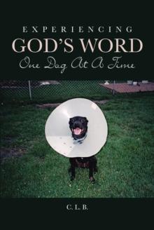 Experiencing God's Word One Dog At A Time