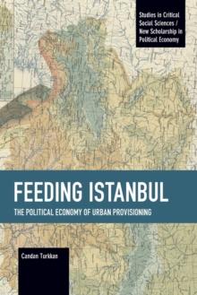 Feeding Istanbul : The Political Economy of Urban Provisioning