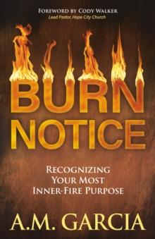 Burn Notice : Recognizing Your Most Inner-Fire Purpose