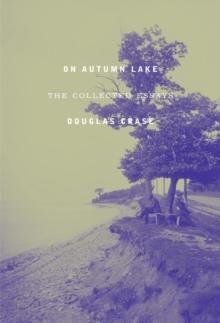 On Autumn Lake : Collected Essays