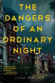 The Dangers Of An Ordinary Night : A Novel