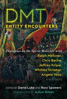 DMT Entity Encounters : Dialogues on the Spirit Molecule with Ralph Metzner, Chris Bache, Jeffrey Kripal, Whitley Strieber, Angela Voss, and Others