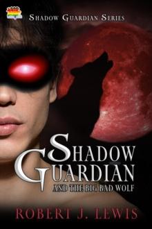 Shadow Guardian and the Big Bad Wolf