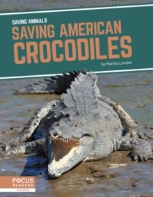 Saving American Crocodiles