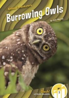 Animal Pranksters: Burrowing Owls