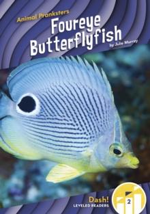 Animal Pranksters: Foureye Butterflyfish