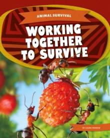 Animal Survival: Working Together to Survive