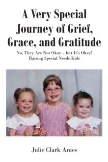 A Very Special Journey of Grief, Grace, and Gratitude : No, They Are Not Okay?but It?s Okay! Raising Special Needs Kids