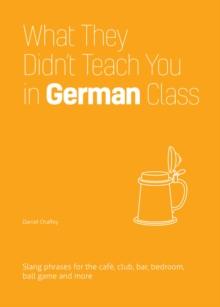 What They Didn't Teach You In German Class : Slang Phrases for the Cafe, Club, Bar, Bedroom, Ball Game and More