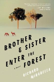 Brother & Sister Enter The Forest : A Novel