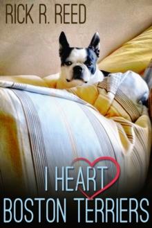 I Heart Boston Terriers