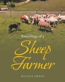 Ramblings of a Sheep Farmer