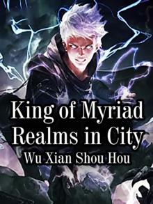 King of Myriad Realms in City