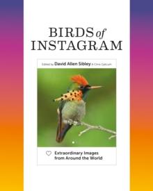 Birds of Instagram : Extraordinary Images from Around the World