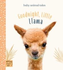 Goodnight, Little Llama (UK) : Simple stories sure to soothe your little one to sleep