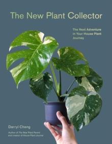 New Plant Collector : The Next Adventure in Your House Plant Journey