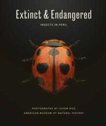 Extinct & Endangered : Insects in Peril