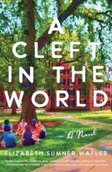 A Cleft in the World : A Novel