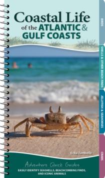 Coastal Life of the Atlantic and Gulf Coasts : Easily Identify Seashells, Beachcoming Finds, and Iconic Animals