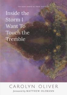 Inside the Storm I Want to Touch the Tremble