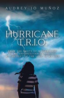 Hurricane T.R.I.O. : From the Roots of a Hurricane to My Unforgettable Landfall at the Feet of the Love of My Life