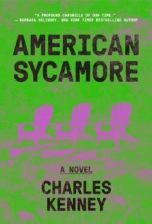 American Sycamore : A Novel