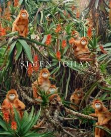 Simen Johan