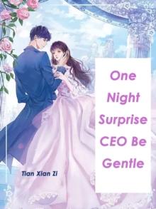 One Night Surprise: CEO, Be Gentle