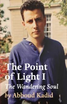 The Point of Light I : The Wandering Soul